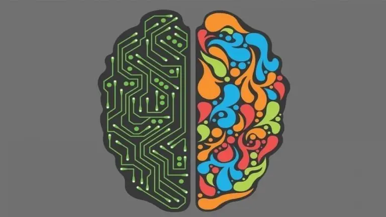 Con este test vas a poder saber qué lado del cerebro usás más