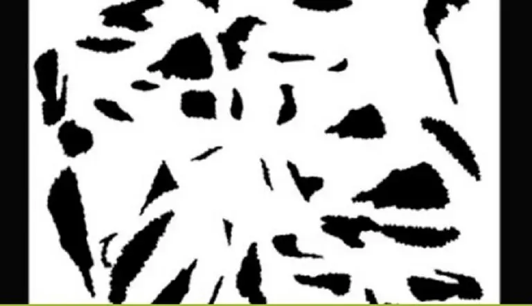 Desafío: el dibujo oculto en la imagen que podés ver si estás bien concentrado