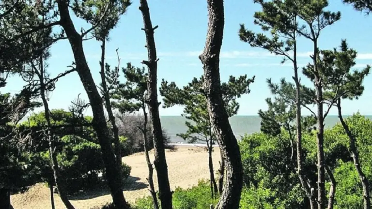 Mar de las Pampas busca un reconocimiento de la ONU por su modelo de turismo sostenible