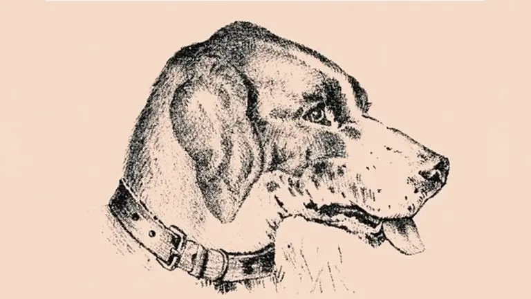 El reto del hombre y el perro: este desafío de hace 140 años solo pudo ser resuelto por el 1% de la gente