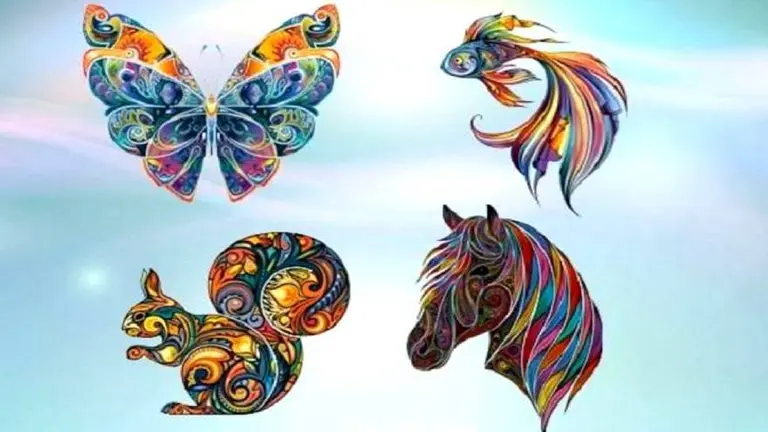 Test del animal mágico: ¿cuál es tu verdadera preocupación?