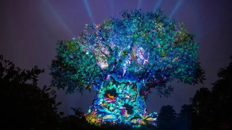 Tu fecha de nacimiento y tu árbol de la vida te dirán cuál es tu poder especial