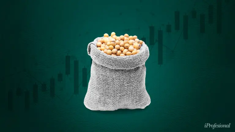 Soja en u$s510 por tonelada: por qué llegó a su máximo desde 2014