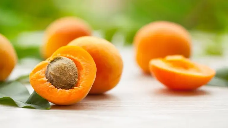 ¡Cianuro en tu plato!: alimentos que se aconseja evitar o consumir con precaución