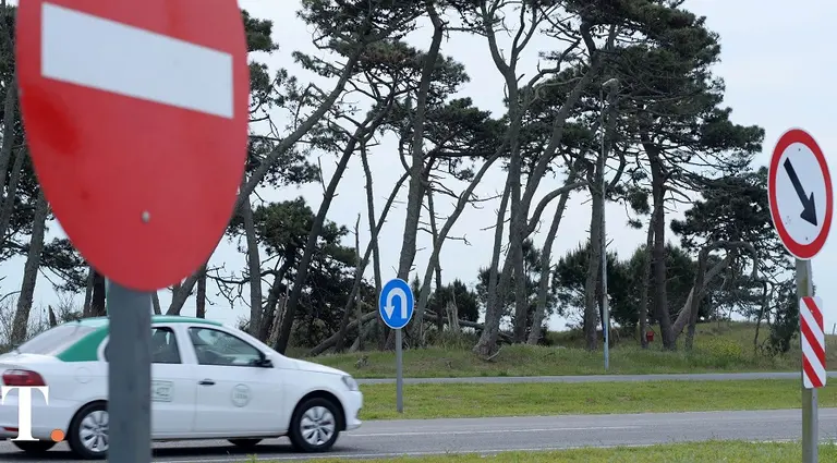 Señales de tránsito: cuáles no podés dejar de conocer