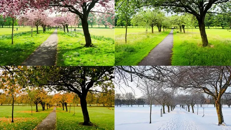 Test: elegí tu estación del año favorita para conocer más sobre tu personalidad