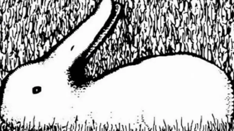 ¿Qué animal ves en la imagen?: asombroso test de personalidad