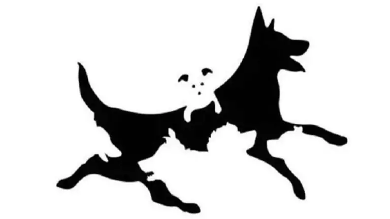 El test de la edad mental: ¿cuántos perros ves en la imagen?