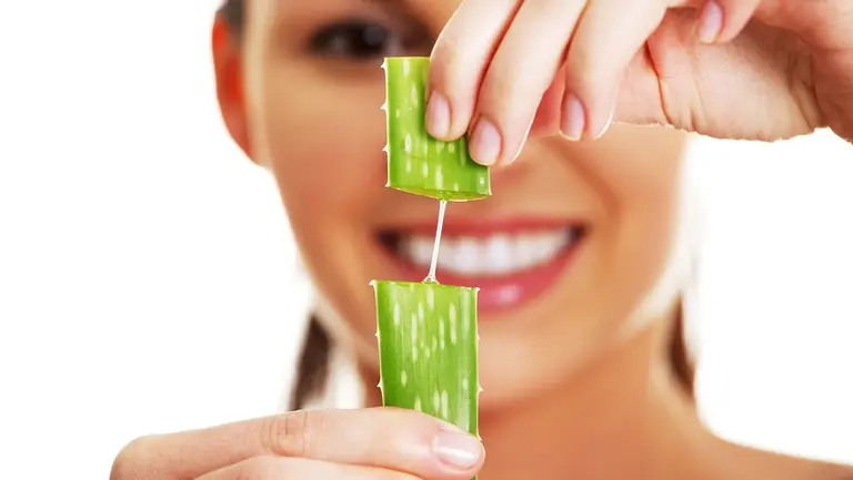 La planta de las 1.000 propiedades: estos son los beneficios y usos del Aloe vera