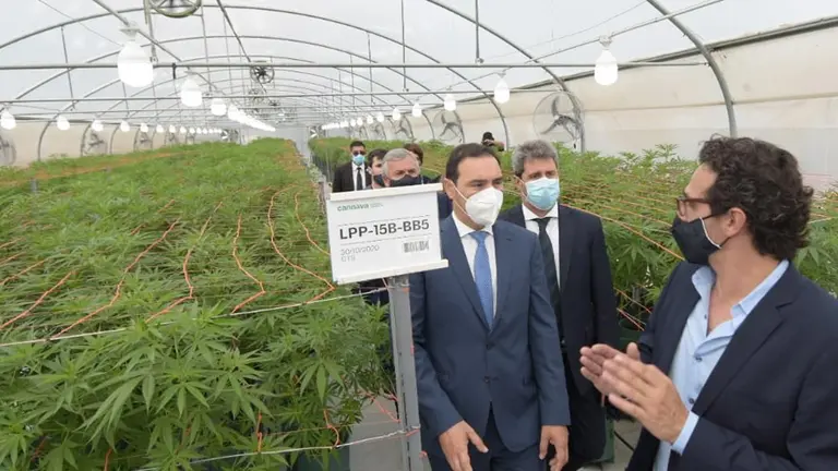 Argentina inauguró su primer laboratorio de marihuana con fines terapéuticos