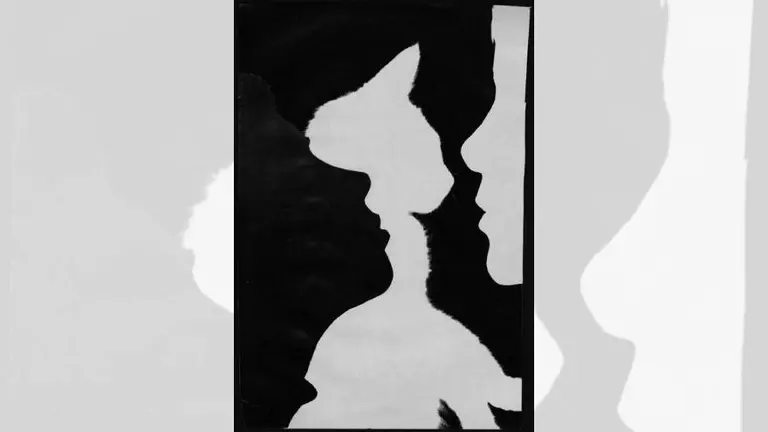 El test de las emociones: descubrí algo oculto sobre tu personalidad