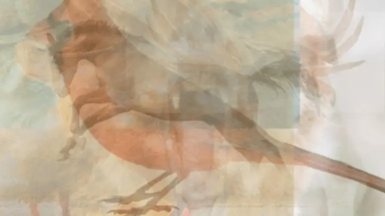 ¿Qué animal ves primero en la imagen?: este test te ayudará a descifrar datos ocultos de tu personalidad