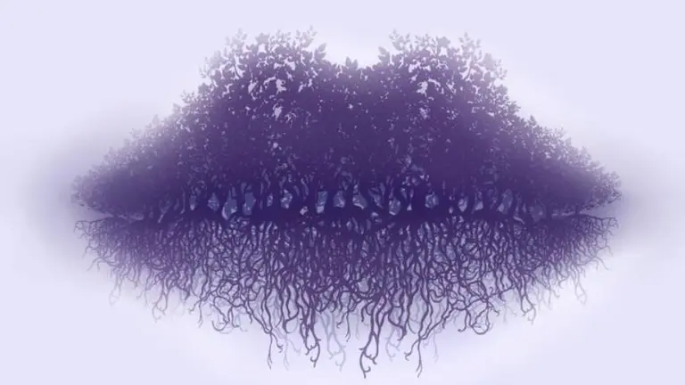 Test psicológico: ¿qué es lo primero que ves en la imagen?