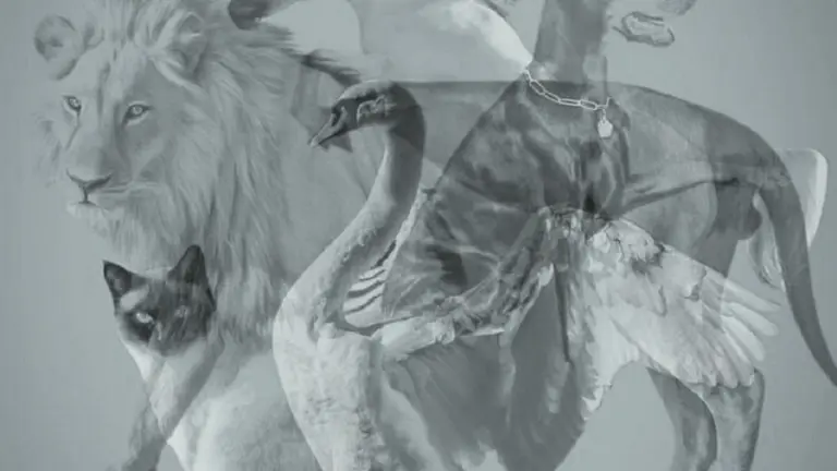 ¿Qué animal ves primero?: asombroso y sencillo test de personalidad