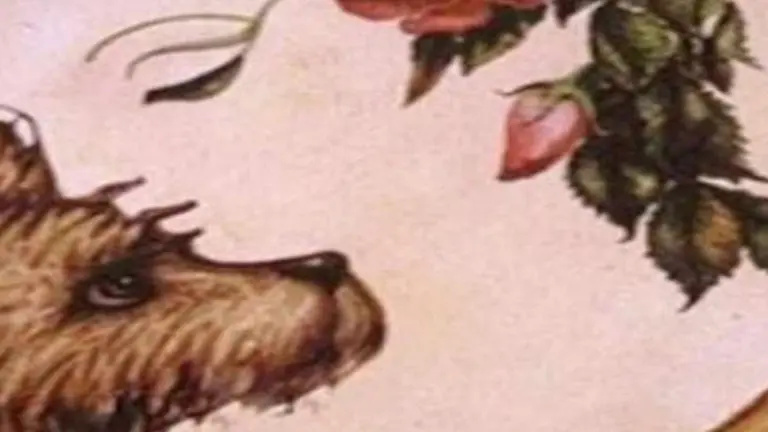 ¿Mujer, perro o flores?: lo que veas hablará de tu personalidad (imposible ocultarlo)