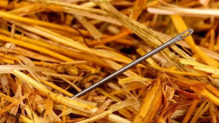 ¿Cuál es el origen del dicho "buscar una aguja en un pajar"?