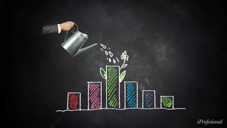 Inversión imbatible: esta es la mejor acción del momento para poner plata, según un experto