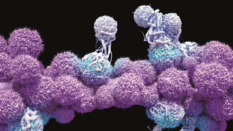 Un nuevo tratamiento podría cambiar el rumbo de la lucha contra el cáncer