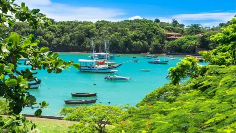 ¿Por qué Buzios es tendencia en Twitter?: por esta medida del gobierno brasilero