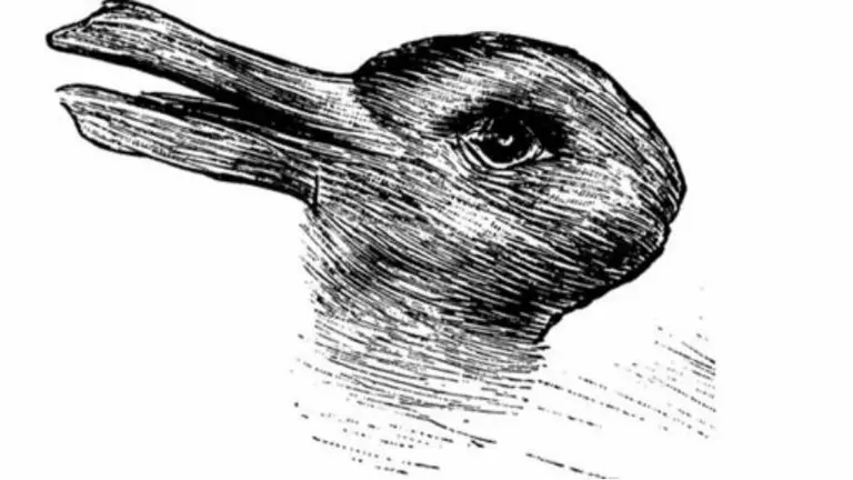 El test de los animales: lo primero que veas revela cómo sos