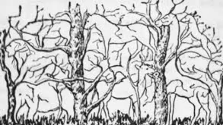 ¿Qué animal ves primero?: este test revela algo oculto de tu personalidad