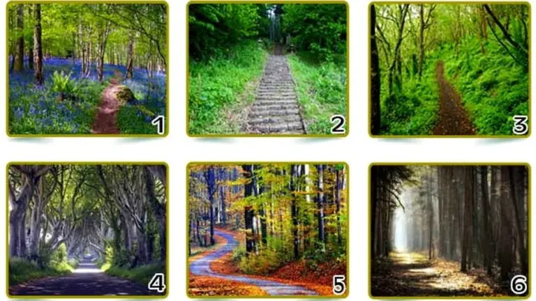 Test visual: elegí un sendero y descubrirás mucho sobre tu personalidad