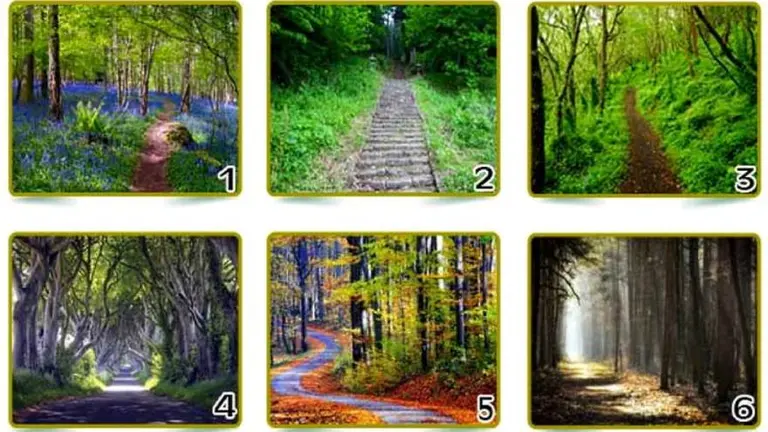 El test de los caminos: elegí uno y conocé algo oculto sobre tu personalidad