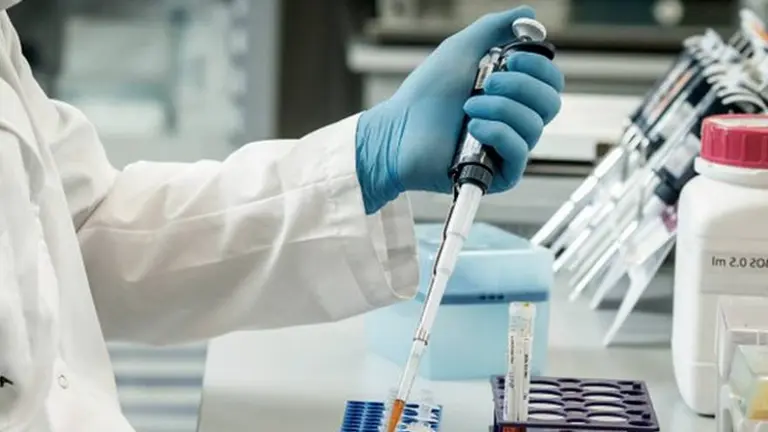 Coronavirus: ANMAT autorizó el tratamiento con suero equino hiperinmune