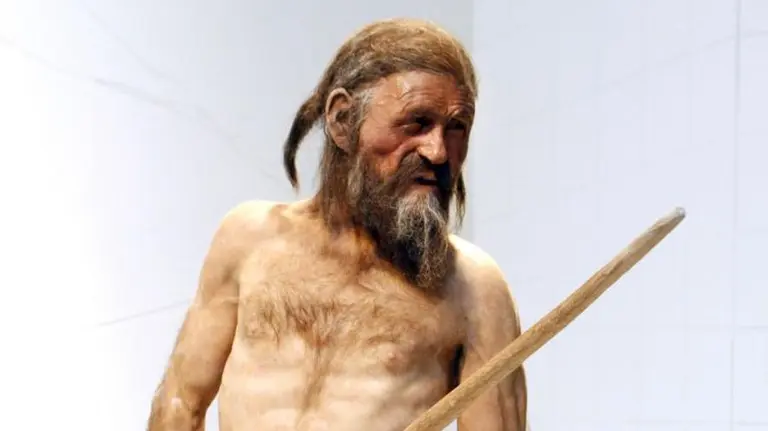 Grandes descubrimientos históricos que fueron encontrados por personas comunes de casualidad