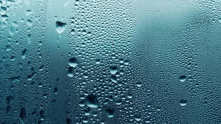 ¿A qué es más sensible el coronavirus? Las recomendaciones de los expertos