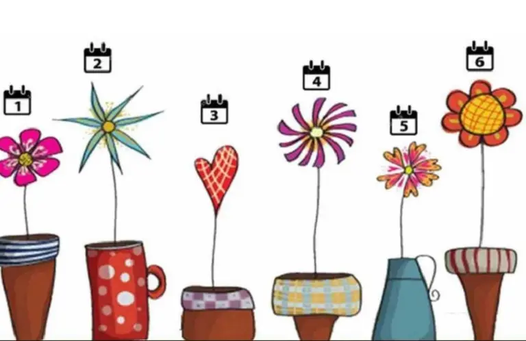Test de las flores: elegí una y conocé tu nivel de narcisismo