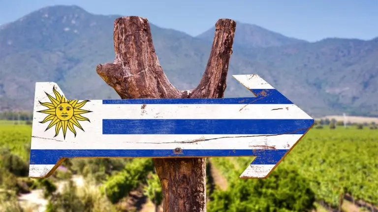 Campos en Uruguay: los argentinos sobresalen entre los que más invierten