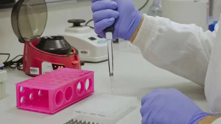 Coronavirus: alerta por descubrimiento de mutaciones de Covid-19 en la Argentina