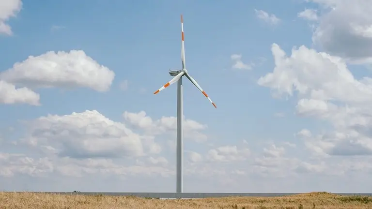 El mayor grupo agroexportador del país busca cambiar su matriz energética: cómo lo hará