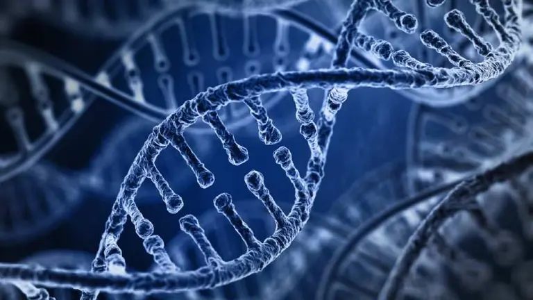 ¿Apareció una nueva cepa del coronavirus en otro país de América latina?