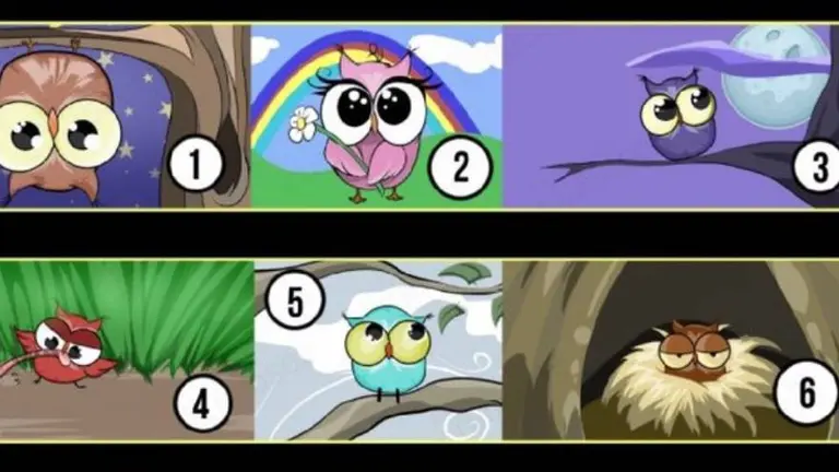 El test de los búhos: ¿qué dice esta prueba de tu personalidad?