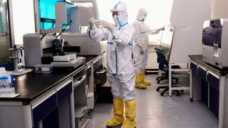 Crece la preocupación por el Nipah, el virus que podría provocar otra pandemia