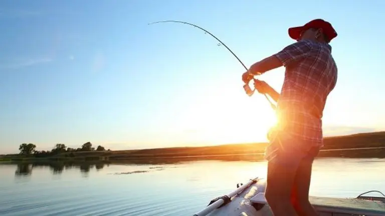 Cuál es el origen del dicho "a río revuelto, ganancia de pescador"