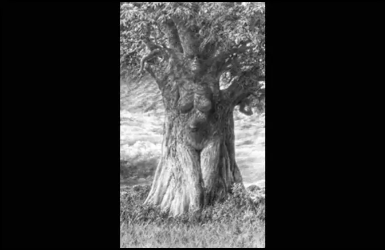 Test psicológico: lo primero que ves revela secretos de tu personalidad