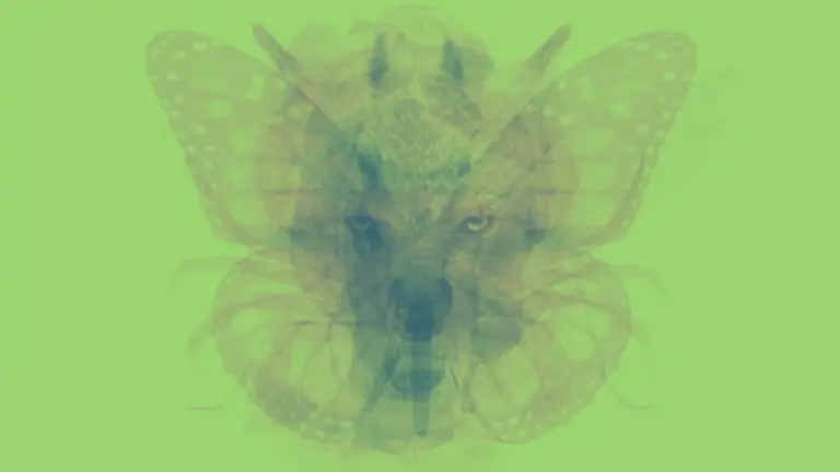 Dime qué animal ves primero y te diré mucho de tu personalidad: los resultados te van a sorprender