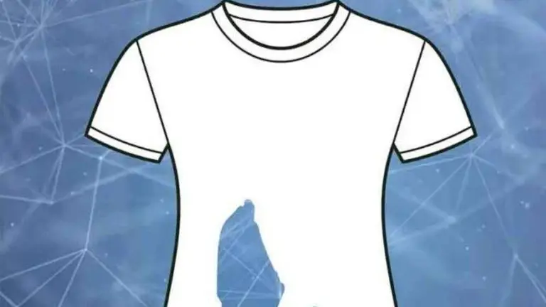 Test casi imposible de resolver: ¿Cuántos agujeros tiene la remera?