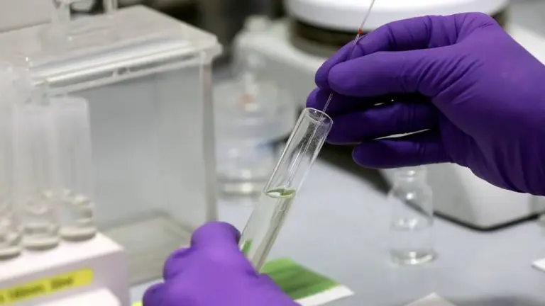 Coronavirus: este medicamento antiviral es 100 veces más potente que los tratamientos actuales