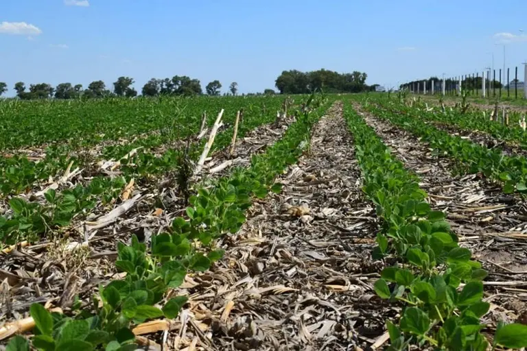 FMC Corporation colabora con Novozymes para codesarrollar soluciones enzimáticas