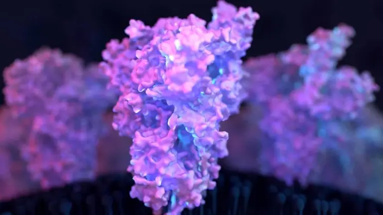 Preocupación científica: 7 nuevas variantes de coronavirus en Estados Unidos pueden ser más contagiosas