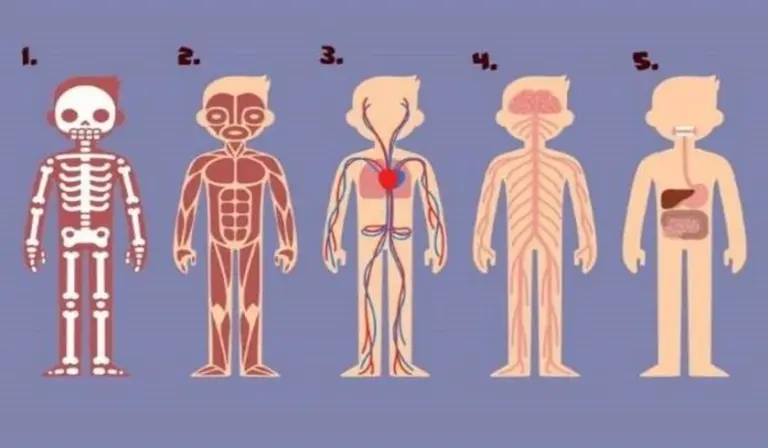 Test psicológico: tu elección te va a ayudar a cambiar tu vida por completo