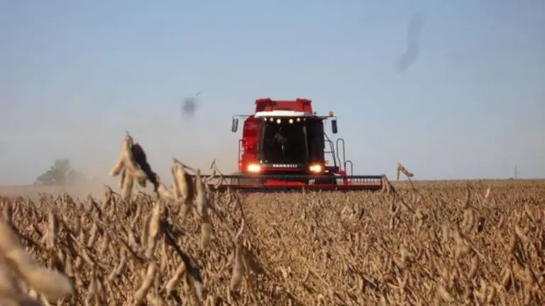 Alberto Fernández, sobre el aumento de las retenciones: "si no lo entienden, me obligan a resolver el problema"