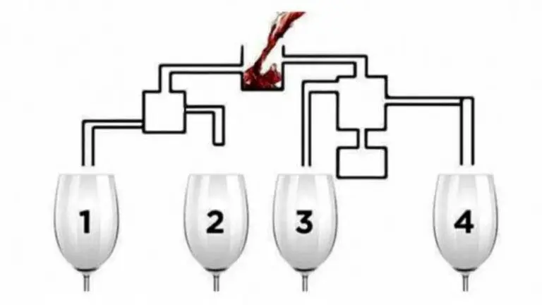 Test de inteligencia: ¿cuál de estas copas se llenará primero?