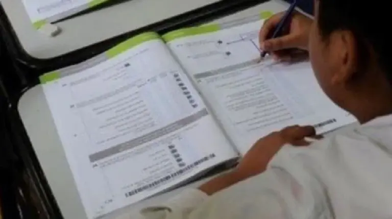 China: un examen escolar que desconcierta al mundo y se vuelve viral