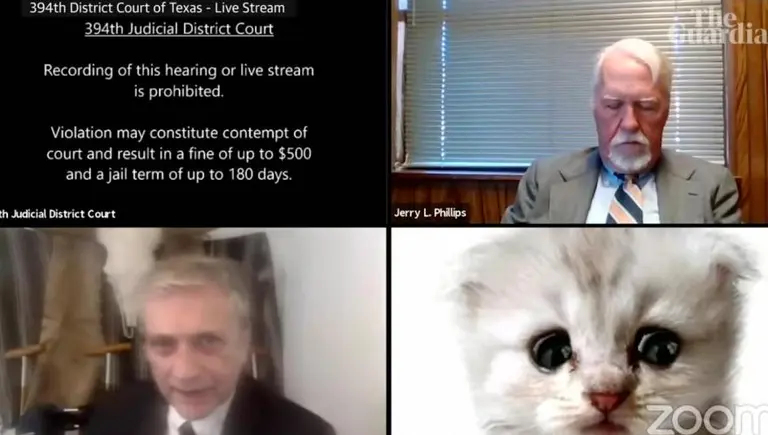 Video: un abogado se convierte en gato en plena audiencia judicial por Zoom
