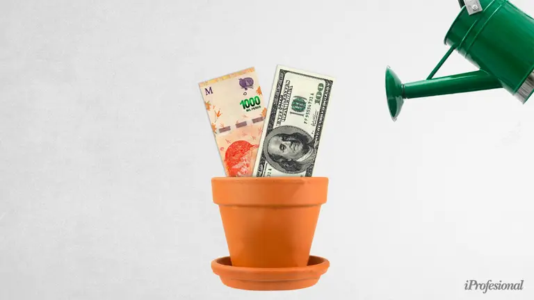 Cuánta plata tendrías hoy si ponías $100.000 a inicios de año en dólar, plazo fijo o acciones